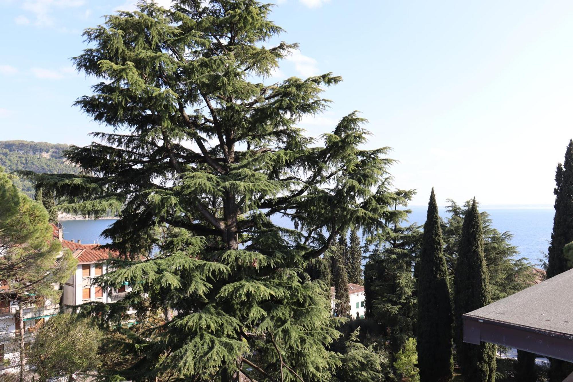 Monika Holiday 315 Magic Lake Garda  Exterior photo